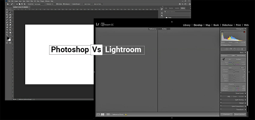 Which One Should You Use and Why?