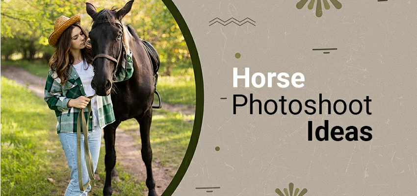 Creative Concepts for Equine Photography