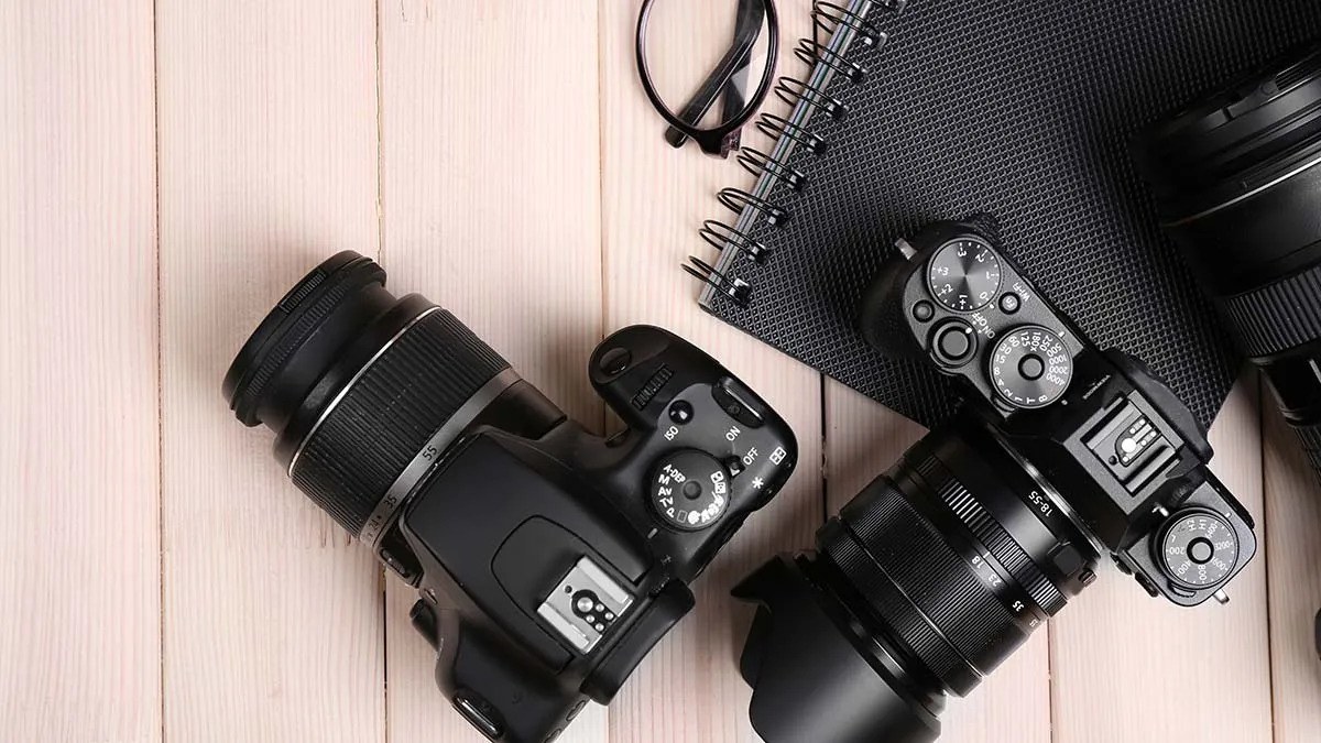 Photography Logo: From Cameras to Nature Elements